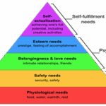 Motivation Theory