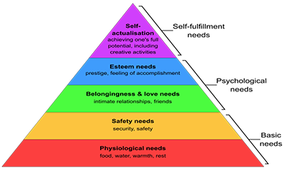 Motivation Theory