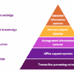 Executive Information Systems