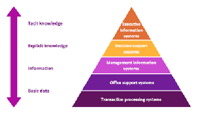 Executive Information Systems