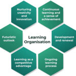 Learning Organization
