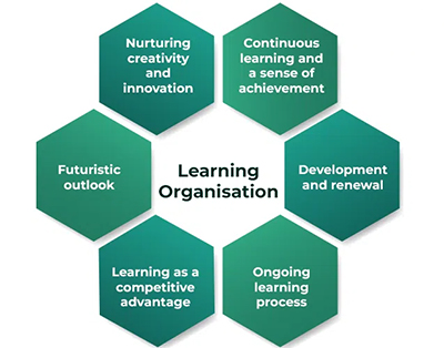 Learning Organization