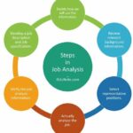 Job Analysis