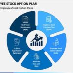 Stock Option Plans