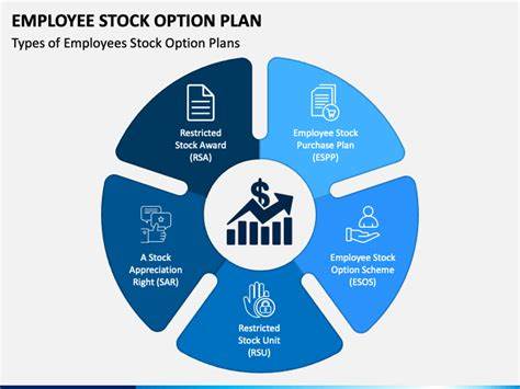 Stock Option Plans