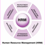 Organization of Human Resources