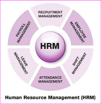 Organization of Human Resources