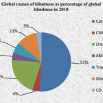 Blindness to Organizational Deficiencies