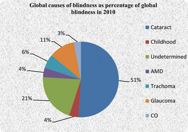 Blindness to Organizational Deficiencies
