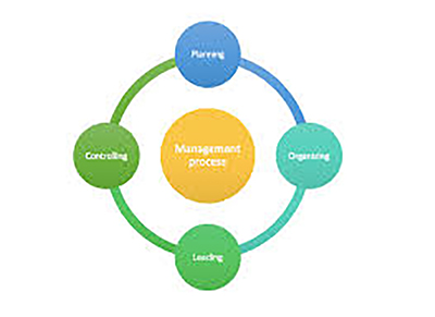 Management Process