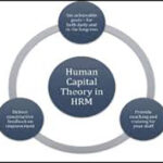 Human Capital Theory