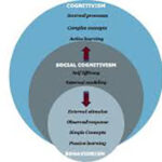Cognitivist Concepts of Motivation