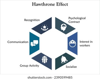 Hawthorne Effect